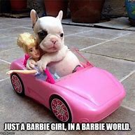 Image result for Barbie World Meme