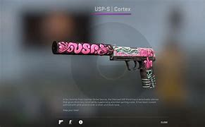 Image result for USP Skins