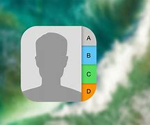 Image result for iPhone Contacts Icon