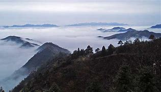 Image result for Tianmu Mountain China