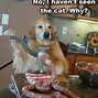 Image result for Funny Cute Puppies Dogs