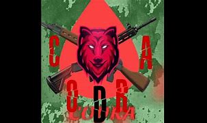 Image result for cod4ra
