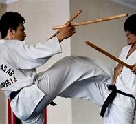 Image result for Indonesian Martial Arts