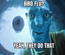 Image result for Bird Flu Avatar Meme