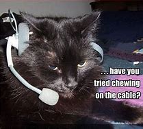 Image result for Call Center Cat Meme