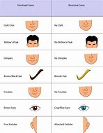 Image result for Human Phenotype Chart