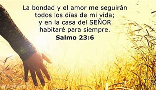 Image result for Salmos Bíblicos