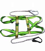 Image result for Body Harness 2 Hook