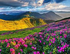 Image result for Country Scenery