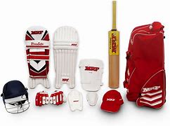 Image result for Cricket Kit for Kids