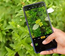 Image result for Phone with Twist Camera at Top