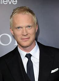 Image result for Paul Bettany Hair