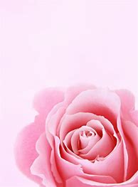 Image result for Pink Lock Screen