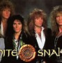 Image result for Great White Band Mullet