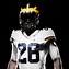 Image result for Michigan Football Jersey