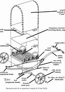 Image result for Roman Chariot Parts