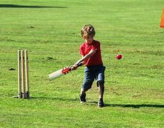 Image result for Cricket Kids World Cup