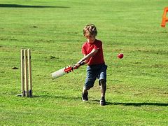 Image result for Cricket Games Kids
