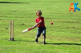 Image result for Cricket Kids World Cup