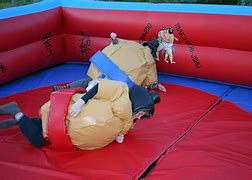 Image result for Inflatable Sumo Ring and Suit