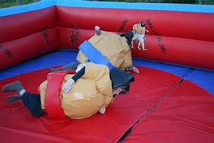 Image result for Inflatable Sumo Suit