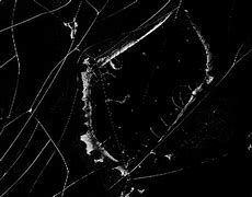 Image result for Cracked Screen Leaking