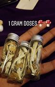 Image result for 1 G of Shrooms