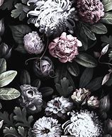 Image result for Black Vintage Floral Desktop Wallpaper
