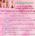 Image result for Indigenous Meaning