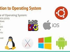 Image result for Local Operating System