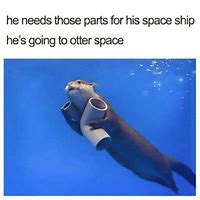 Image result for Otter Space Meme