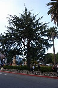 Image result for Bridgeway, Sausalito, CA 94966 United States