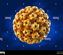 Image result for Genital Human Papillomavirus 16 and 18