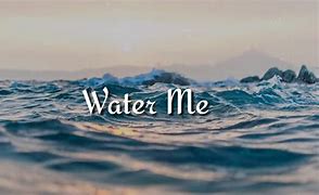 Image result for Water Me Lizzo Lyrics