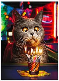 Image result for Funny Cat Happy Birthday Cards