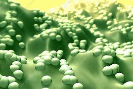 Image result for cocci�n