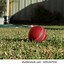 Image result for Australia Day Backyard Cricket