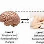 Image result for Brain Exercise