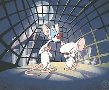 Image result for Pinky and the Brain Q