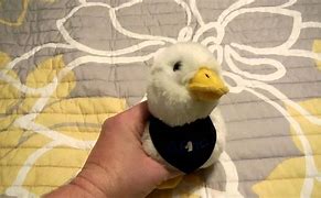 Image result for Plush Talking Duck