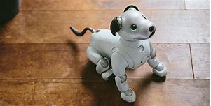 Image result for Aibo Robot Dog Black Sesame