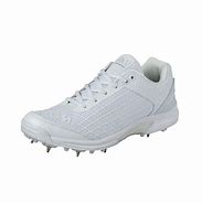 Image result for Custom Cricket Spikes