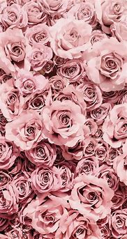 Image result for Home Screen Wallpaper iPhone Pink