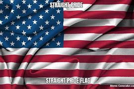 Image result for Straight Flag Meme