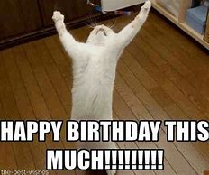 Image result for Happy Birthday Meme Cute Animals
