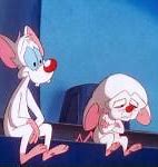 Image result for Pinky and the Brain Kissing Meme