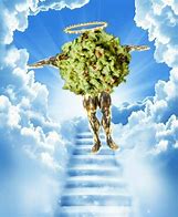 Image result for Holy Guacamole Meme