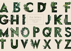 Image result for Typography with Green Leaves Floral Design