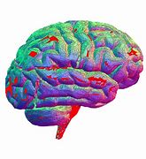 Image result for Brain Science Art