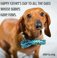 Image result for Father's Day Dog Meme